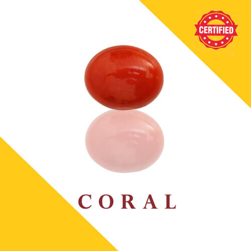 Coral - Mangal